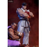 Street Fighter - Pack figures Ryu & Dan