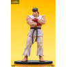 Street Fighter - Pack figurines Ryu & Dan