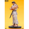 Street Fighter - Pack figures Ryu & Dan