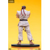 Street Fighter - Pack figures Ryu & Dan