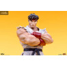 Street Fighter - Pack figures Ryu & Dan