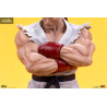 Street Fighter - Pack figures Ryu & Dan