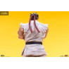 Street Fighter - Pack figures Ryu & Dan