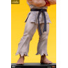 Street Fighter - Pack figures Ryu & Dan