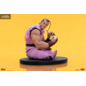 Street Fighter - Pack figures Ryu & Dan