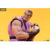Street Fighter - Pack figurines Ryu & Dan
