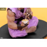 Street Fighter - Pack figures Ryu & Dan