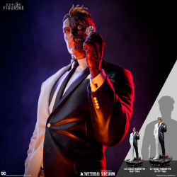 DC Comics - Figurine...