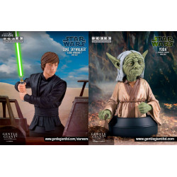 Star Wars - Luke or Yoda...