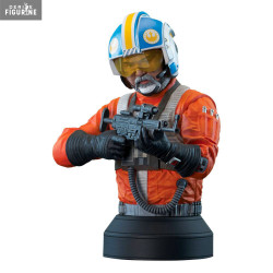 Star Wars The Mandalorian -...