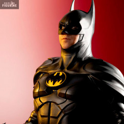 DC Comics The Flash Movie -...