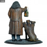 Harry Potter - Figurine Hagrid & Touffu, Premium Motion