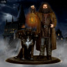 Harry Potter - Figurine Hagrid & Touffu, Premium Motion