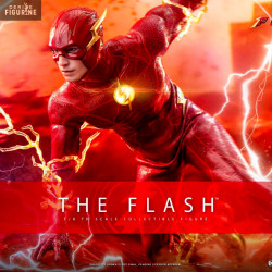 DC Comics, The Flash - The...