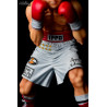 Hajime no Ippo - Figure Ippo Makunouchi -fighting pose- Classic or Damage