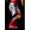 Hajime no Ippo - Figure Ippo Makunouchi -fighting pose- Classic or Damage