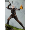 The Witcher - Figure Geralt, Bishoujo
