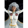 X-Men - Figure Storm Danger Room Sessions, Marvel Comics Fine Art
