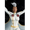 X-Men - Figure Storm Danger Room Sessions, Marvel Comics Fine Art