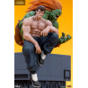 Street Fighter - Blanka & Fei Long figure