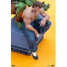 Street Fighter - Blanka & Fei Long figure