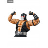 DC Comics - Knight Crusader Batman or Bane (Batman Knightfall) figure, MAFEX