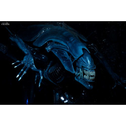 Aliens - Alien Queen...