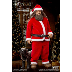 Harry Potter - Figure...