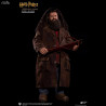 Harry Potter - Figure Rubeus Hagrid XMAS Special Version, My Favourite Movie