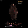 Harry Potter - Figure Rubeus Hagrid XMAS Special Version, My Favourite Movie