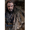 Le Hobbit - Figurine Thorin Oakenshield