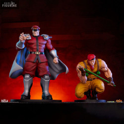 Street Fighter - M. Bison &...