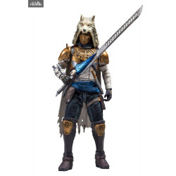 Destiny - Iron Banner...
