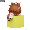 Uma Musume Pretty Derby - Figurine Admire Vega, Agnes Tachyon ou Daiwa Scarlet, Hikkake
