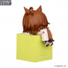 Uma Musume Pretty Derby - Figurine Admire Vega, Agnes Tachyon ou Daiwa Scarlet, Hikkake