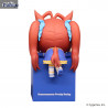 Uma Musume Pretty Derby - Admire Vega, Agnes Tachyon or Daiwa Scarlet figure, Hikkake