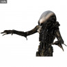 Alien - Figurine Alien, MAF EX