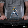 Saint Seiya - Figure Cygnus Hyoga Classic or Deluxe, Art Scale