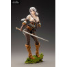 The Witcher - Figure Ciri, Bishoujo