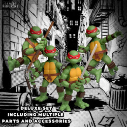 Teenage Mutant Ninja...
