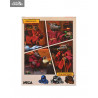 Teenage Mutant Ninja Turtles - April O'Neil, Splinter, Shredder or Foot Ninja figure (Mirage Comics), Ultimate