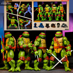 Teenage Mutant Ninja...
