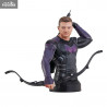 Marvel, Avengers - Buste Hawkeye