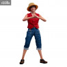 One Piece - Figurine Monkey D. Luffy (Netflix)