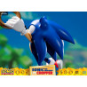 Sonic Generations - Sonic vs Chopper figure