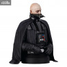 Star Wars Episode VI - Darth Vader bust (unhelmeted)