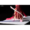 Fairy Tail - Erza Scarlet figure Cherry Blossom CAT, Gravure Style