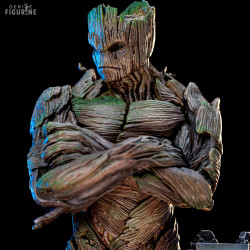 Marvel, Guardians of the...