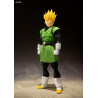 Dragon Ball Z - Figurine Great Saiyaman Tamashii Web Exclusive, S.H. Figuarts
