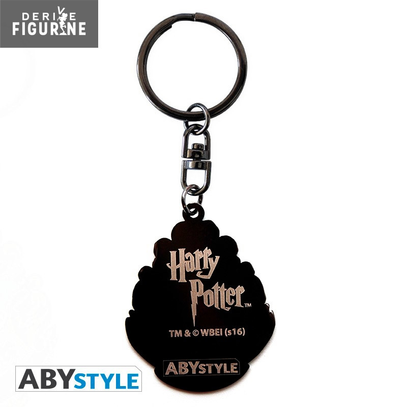 Porte-clés Harry Potter -...